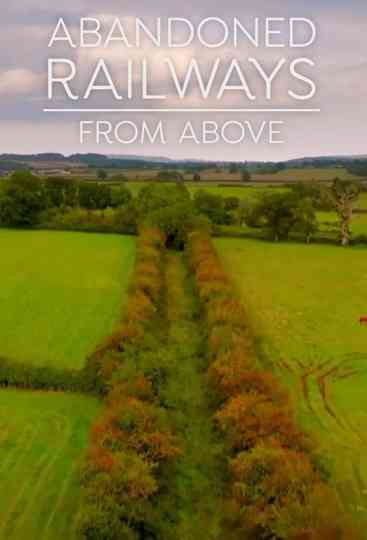 Abandoned Railways from Above Poster