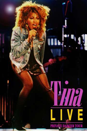 Tina Turner: Private Dancer Tour Poster