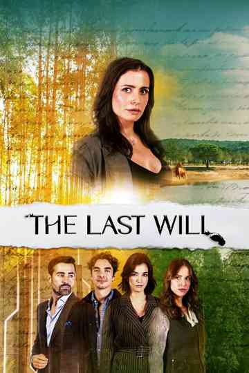 The Last Will Poster