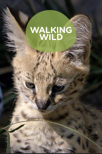 Walking Wild at the San Diego Zoo