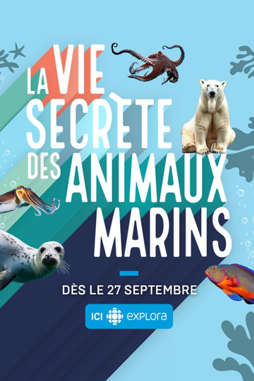 La vie secrète des animaux marins