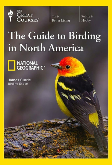 The National Geographic Guide to Birding in North America