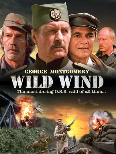 Wild Wind Poster