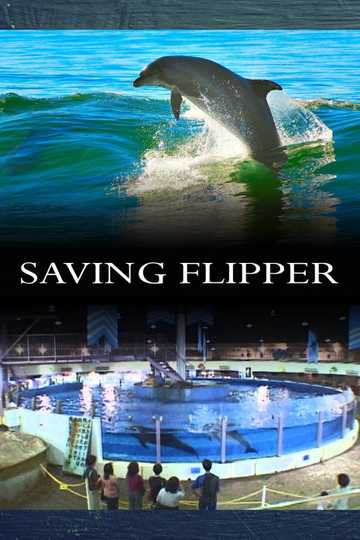 Saving Flipper