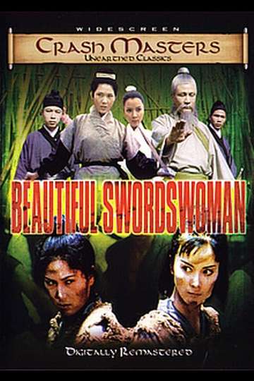 Beautiful Swordswoman Poster