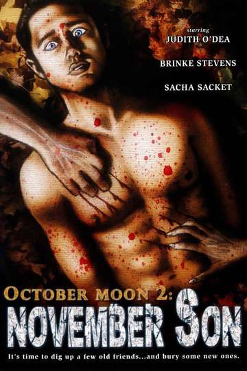 October Moon 2: November Son Poster