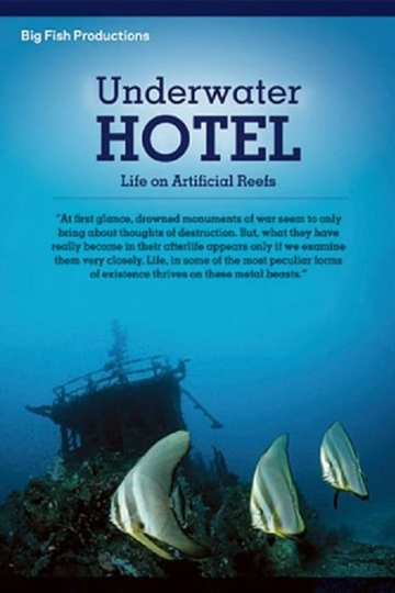 Underwater Hotel  Life On Artificial Reefs