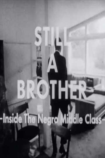 Still A Brother: Inside the Negro Middle Class Poster