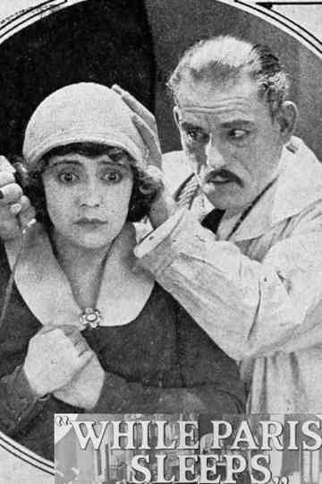 While Paris Sleeps Poster