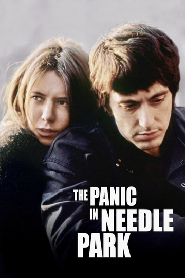 The Panic in Needle Park Poster