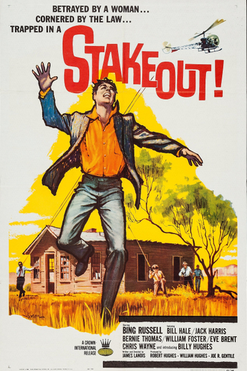 Stakeout Poster