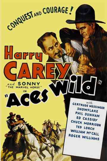 Aces Wild Poster