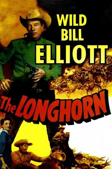The Longhorn Poster