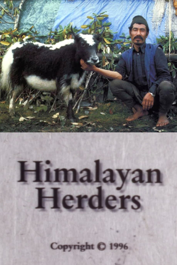 Himalayan Herders