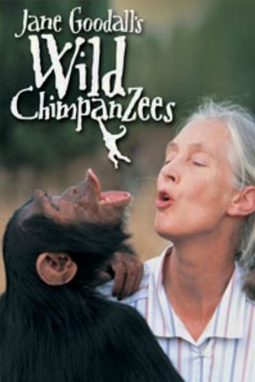 Jane Goodall's Wild Chimpanzees Poster