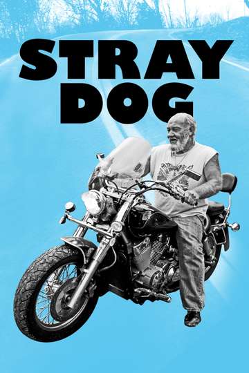 Stray Dog Poster