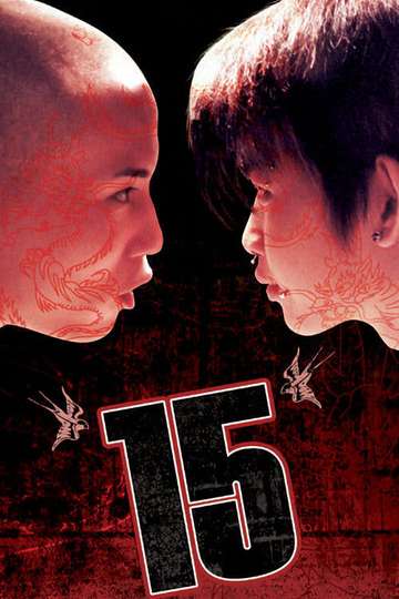 15 The Movie Poster