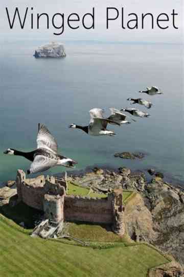 Winged Planet poster