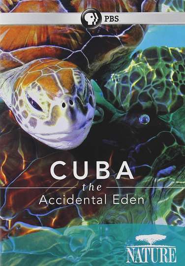 Cuba The Accidental Eden