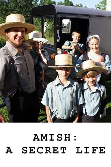 Amish A Secret Life Poster