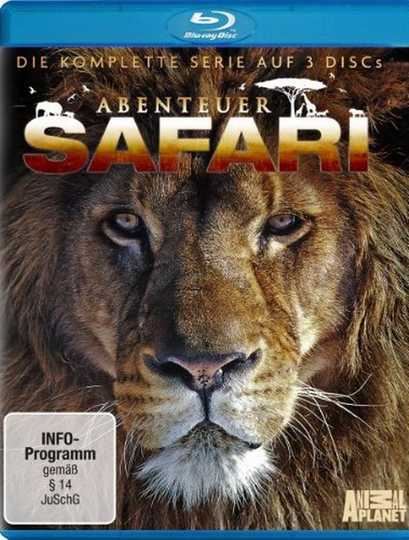 Safari Park Adventure