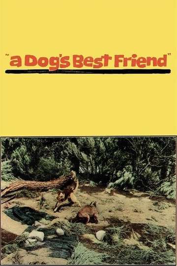 A Dogs Best Friend Poster