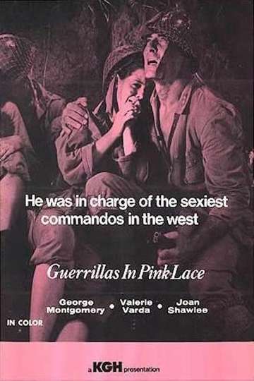 Guerillas in Pink Lace Poster