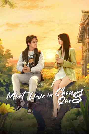 Meet Love in Chong Qing poster