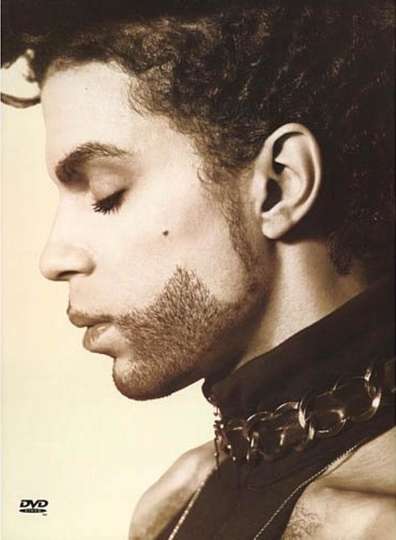 Prince The Hits Collection Poster