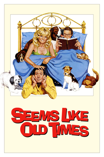 Seems Like Old Times Poster