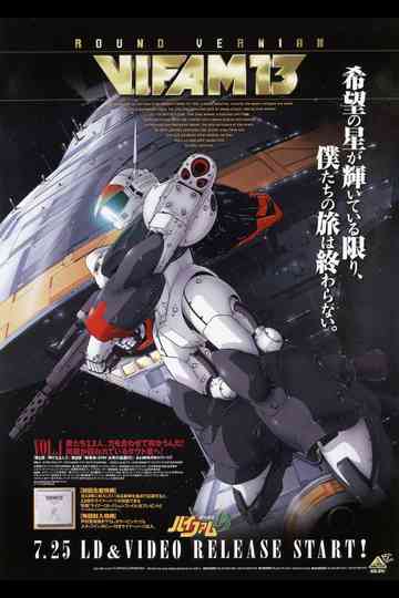 Round Vernian Vifam 13