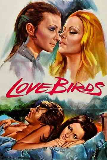 Love Birds