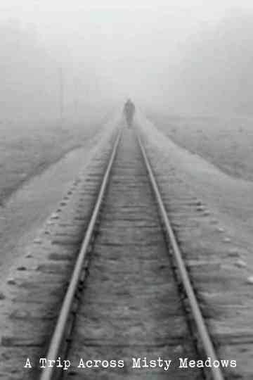A Trip Across Misty Meadows
