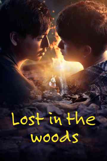 Lost in the Woods