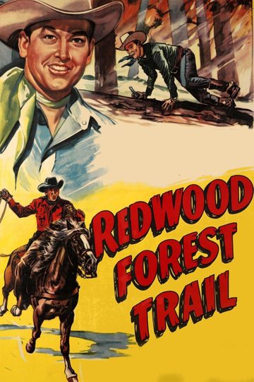 Redwood Forest Trail Poster