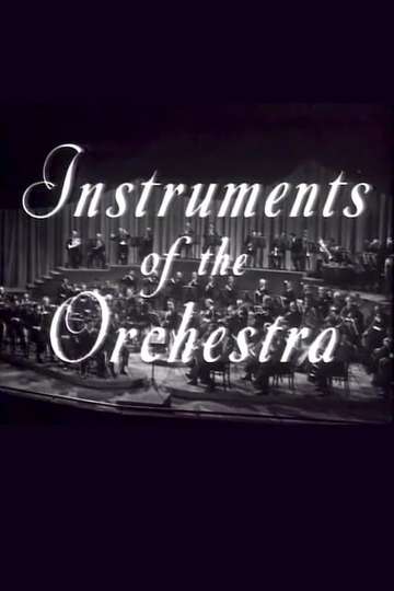 Instruments of the Orchestra Poster