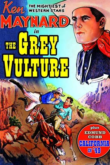 The Grey Vulture Poster