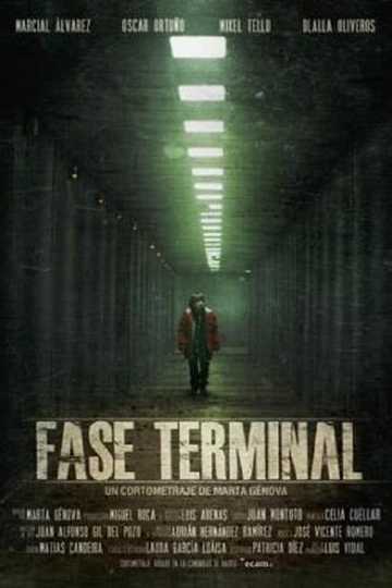 Fase terminal