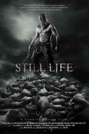 Still Life