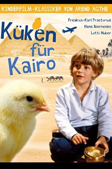 Chicken for Cairo Poster