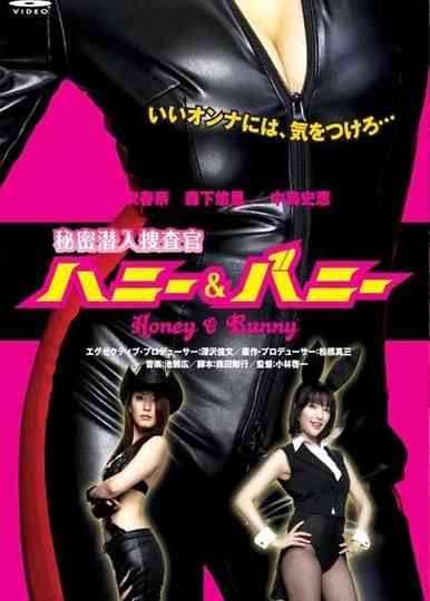 Secret Undercover Agent Honey  Bunny
