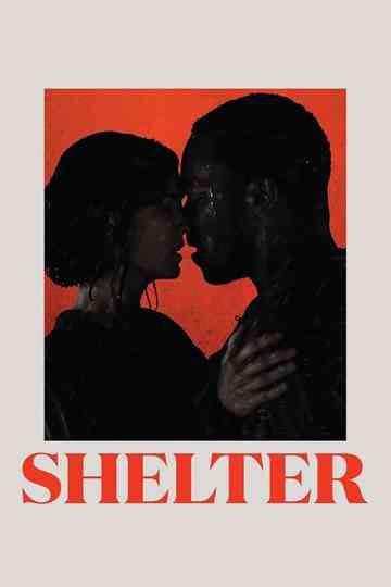 Shelter poster