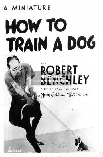How to Train a Dog Poster
