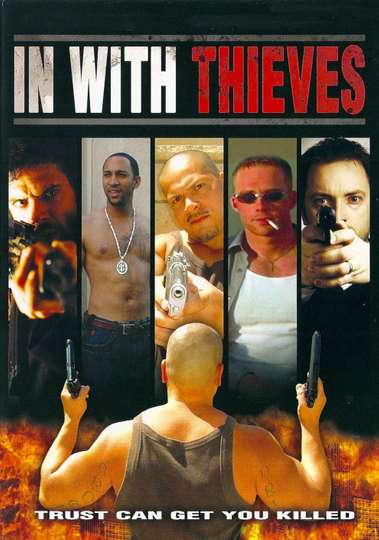 In with Thieves Poster
