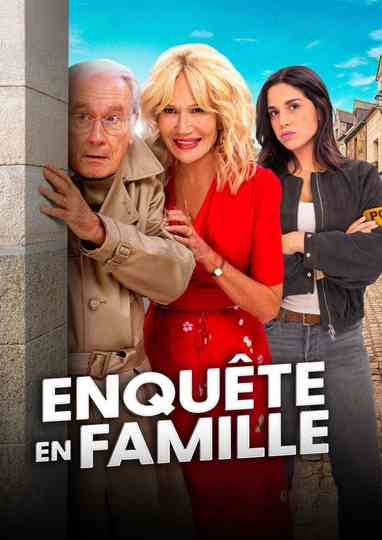 Enquête en famille poster