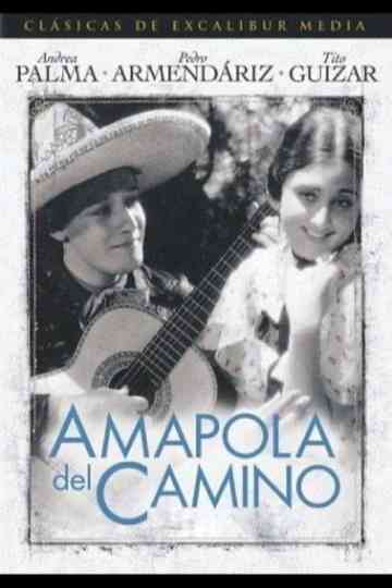 Amapola Del Camino