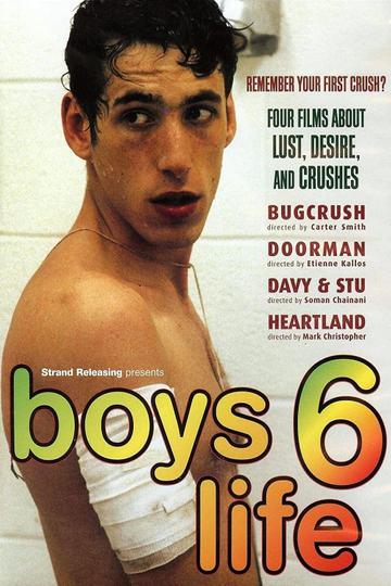 Boys Life 6 Poster