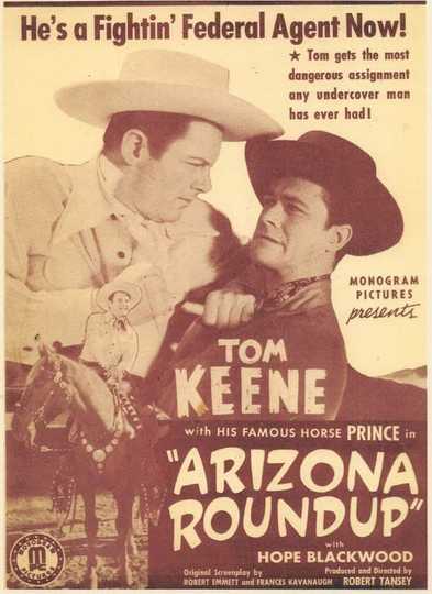 Arizona Round-Up Poster