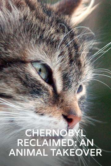 Chernobyl Reclaimed An Animal Takeover