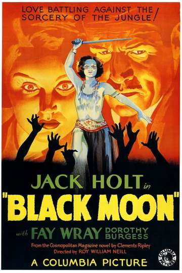 Black Moon Poster